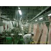 青島建華食品機(jī)械制造有限公司-豬開胸去內(nèi)臟