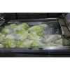 雙層網(wǎng)帶葉類蔬菜清洗機