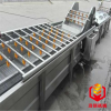 高壓氣泡清洗機線 葉類蔬菜清洗機 勁創(chuàng)定做清洗設(shè)備