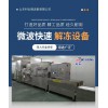 微波肉制品解凍設備實體工廠