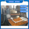 油炸生產(chǎn)線 全自動(dòng)油炸機(jī)器 油炸設(shè)備